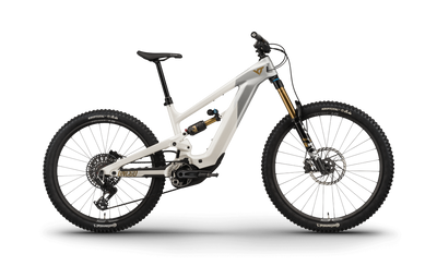 Decoy MX